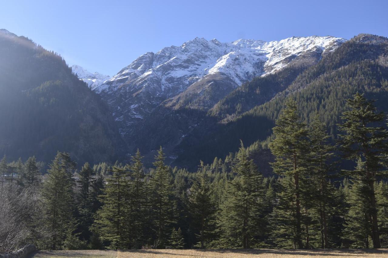 Toshim Homestay Sangla Exterior photo